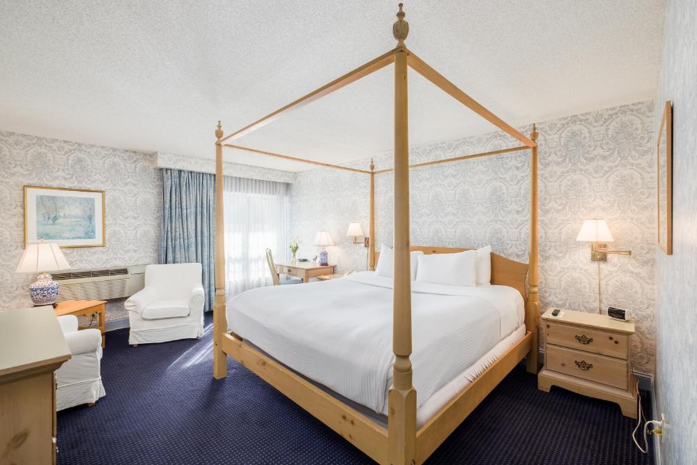 Deluxe King Room interior